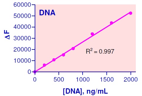 DNA検量線例
